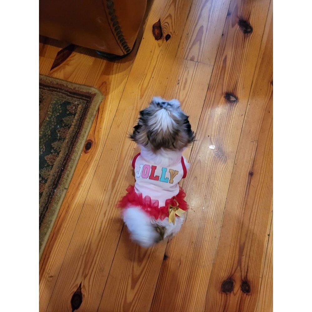 GUC - Pet Christmas Dress, Size XS